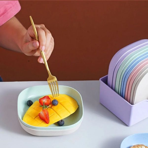 10 Pcs Food Grade Plastic Dining Plates Set